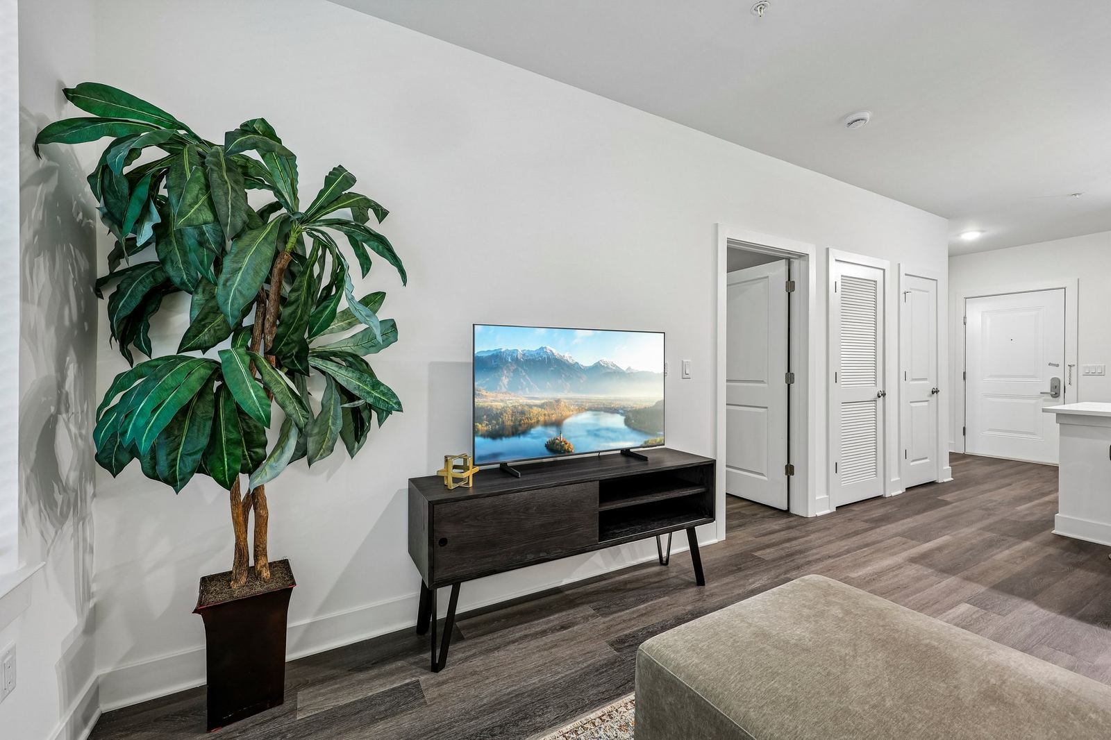 Meridia Pompton Lakes apartment living room with potted plant and mounted TV